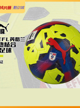 西域风暴 PUMA/彪马EFL SKY BET A标比赛5号足球成人男083888 02