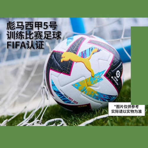 A标5号比赛热粘合足球彪马
