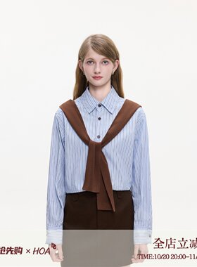 小众设计竖条纹衬衫女长袖春秋