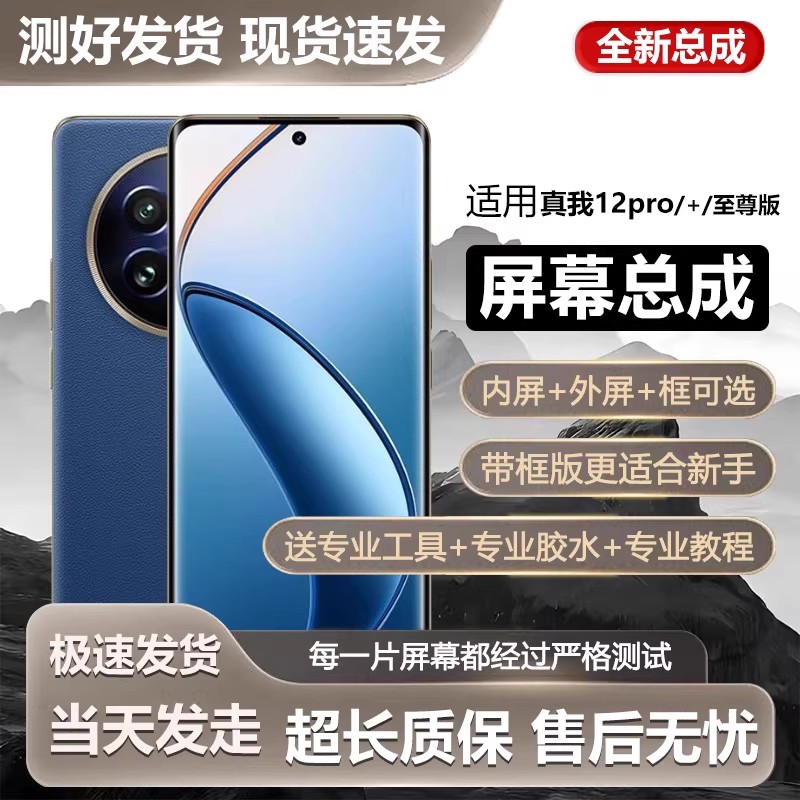 适用真我12pro屏幕总成带
