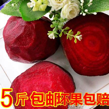 2026新鲜甜菜根现拔红甜菜酵素甜菜头紫菜头红菜头农家自种