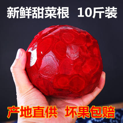 甜菜头新鲜甜菜根紫菜头红菜头火焰菜农家自种农产品蔬菜10斤装