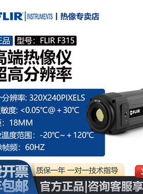 菲力尔FLIR A310/A315/A325sc 在线红外热成像仪