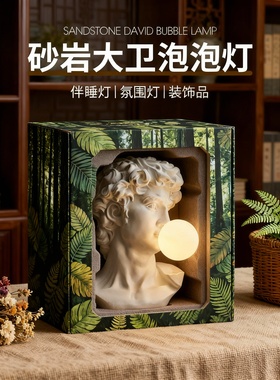 砂岩大卫头像轻奢泡泡灯摆件