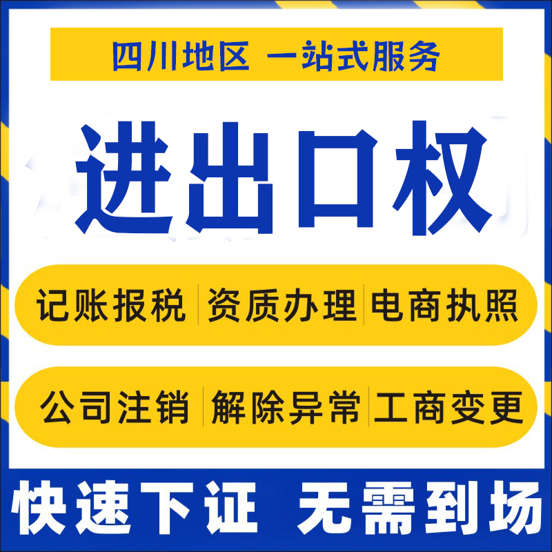 成都进出口权跨境电商海关备案对外贸易电子口岸资质办理退税申报 商务/设计服务 工商注册 原图主图