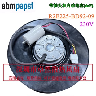 BD92 DF涡轮抽风 M2E068 净化风机 230V 德国进口R2E225