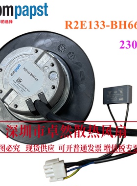德国 R2E133-BH66-25/26/05/31/24/14/07/34/33/27德国进口 风机