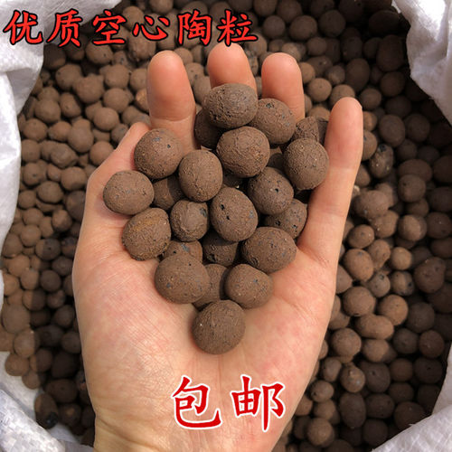 陶粒垫底花卉种植多肉土植物水培