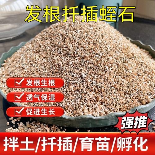 营养土养花蛭石蛭石发根扦插育苗