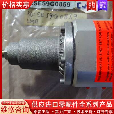 议价正品法国弗雷斯 FRESNES AMS SE59G085