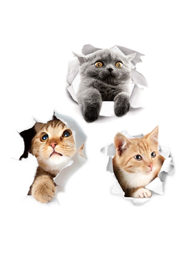 呆萌风小猫咪墙壁贴纸房间装饰