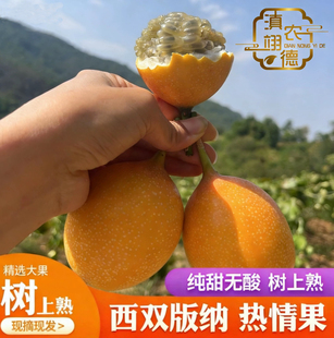 热情果云南哥伦比亚热情果稀有高端水果纯甜非黄金百香果新鲜现摘