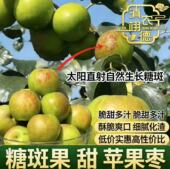 水果脆甜 纳苹果青枣新鲜采摘产地应季 糖斑果5斤 云南西双版