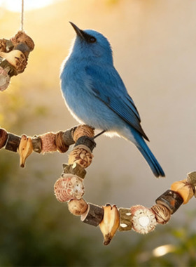 鹦鹉玩具啃咬坚果串攀爬爬梯站杆虎皮站棍鸟笼配件造景牡丹玄凤