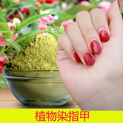 天然凤仙花粉植物指甲花粉染指甲海娜花染红指甲新疆青海甘肃河南