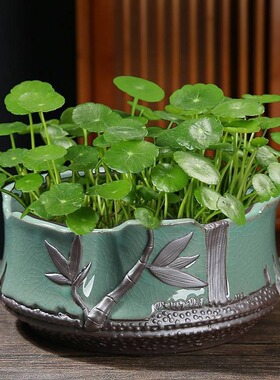 陶瓷大号水仙花哥窑花盆紫砂复古粗陶创意个性水培铜钱草植物盆栽