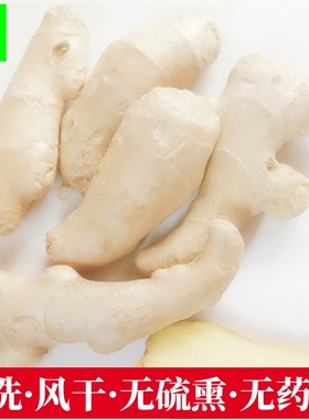 山东安丘大姜生姜新鲜黄姜老姜低价包邮5斤月子姜水洗风干小姜块