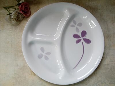 美国康宁餐具耐热玻璃10寸分隔盘