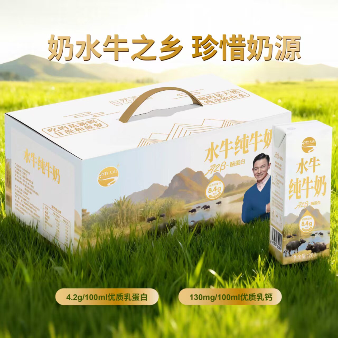 尊牧天山水牛纯牛奶早餐水牛奶