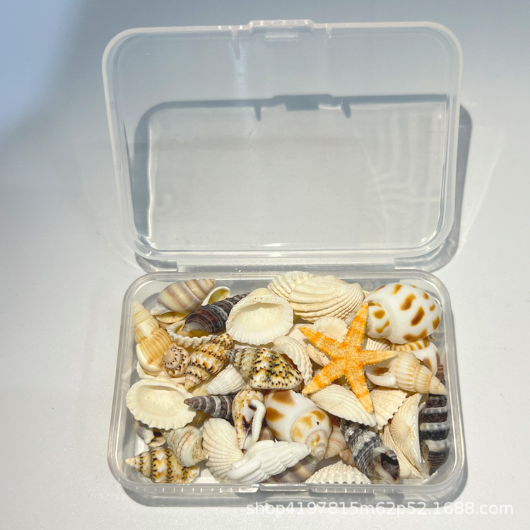 天然海洋贝壳海星DIY组合