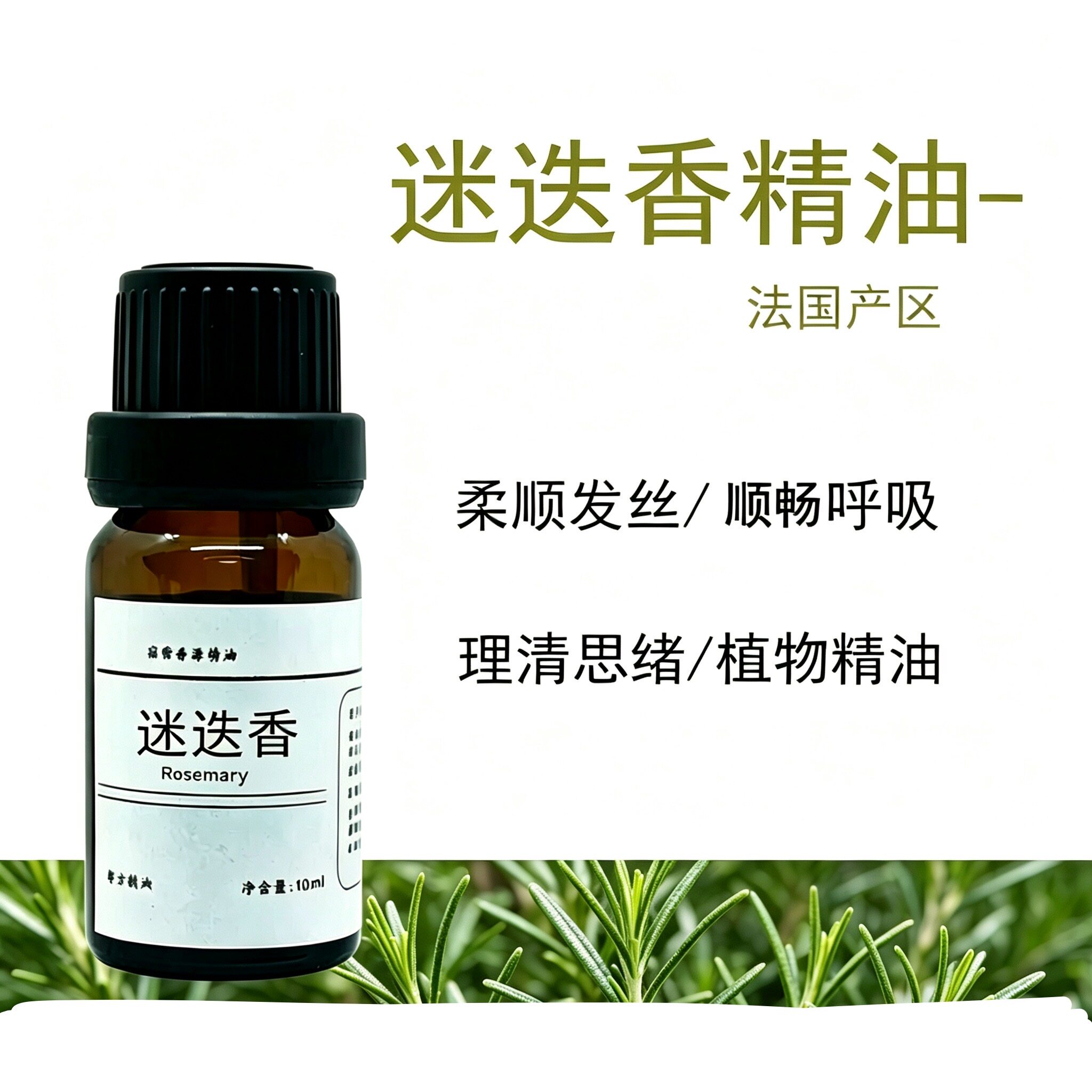 迷迭香纯单方精油香薰头皮毛孔图片