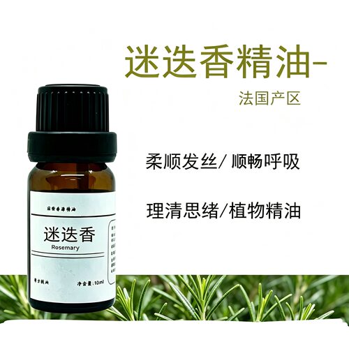 迷迭香纯单方精油香薰头皮毛孔