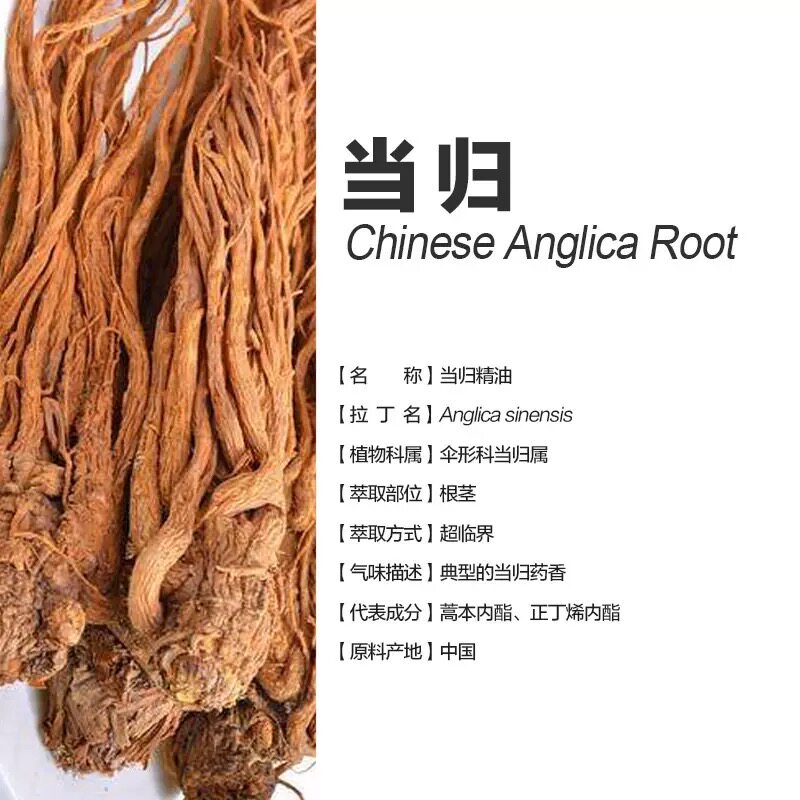 超临界圆叶当归单方纯精油 经络经期黑色素疏通自身保养滋润