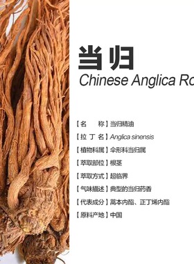 超临界圆叶当归单方纯精油 经络经期黑色素疏通自身保养滋润