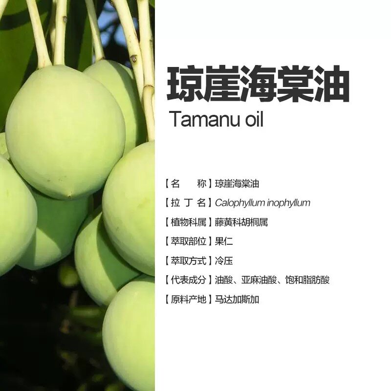 认证琼崖海棠油纯正进口修护肌肤