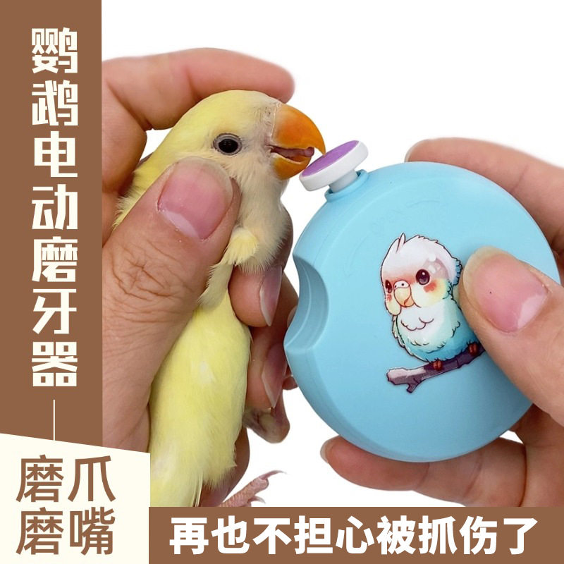 鹦鹉磨嘴器电动虎皮牡丹鸟用指甲剪打磨器鹦鹉用具磨喙器小鸟用品