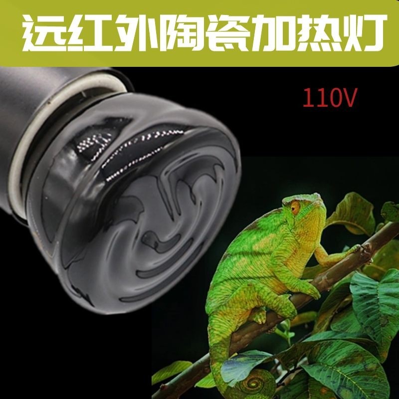 小型远红外110v宠物陆龟蜥蜴爬虫箱陶瓷加热灯迷你50mm陶瓷保温灯