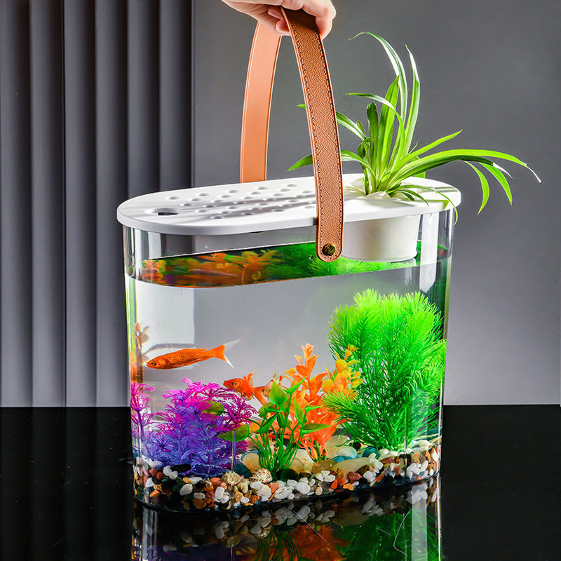 桌面金鱼缸客厅塑料透明摆件小鱼缸水培植物造景水族箱水养观赏鱼