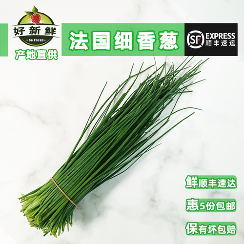 法国细香葱食用细叶小葱西餐香料