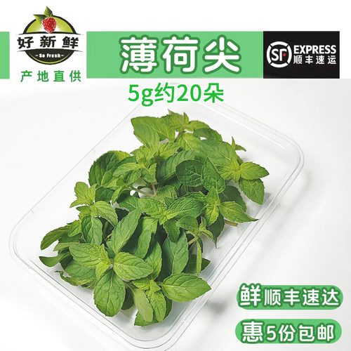 新鲜薄荷尖可食用泡水柠檬茶装饰调酒鸡尾酒烘焙酒吧专用香薄荷尖