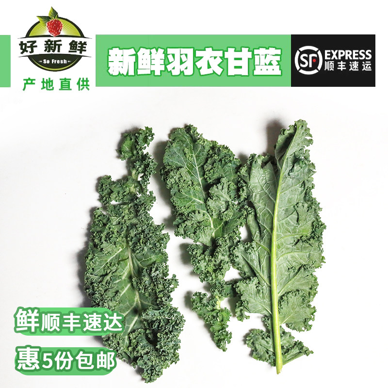 新鲜羽衣甘蓝500克 芥蓝蔬菜甘兰kale轻脂健身榨汁西餐沙拉叶牡丹,水产肉类/新鲜蔬果/熟食,叶菜类,淘宝优惠券,粉丝福利购,淘宝优惠卷