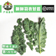 新鲜羽衣甘蓝500克 芥蓝蔬菜甘兰kale轻脂健身榨汁西餐沙拉叶牡丹