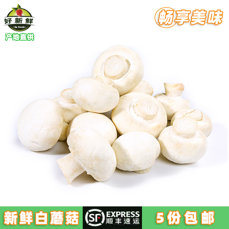 新鲜散装西餐食材煲汤火锅白蘑菇