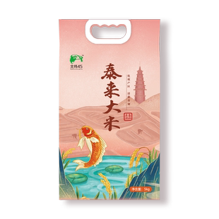 新米黑龙江东北大米 泰来大米长粒香米粳米5kg真空包装米10斤大米