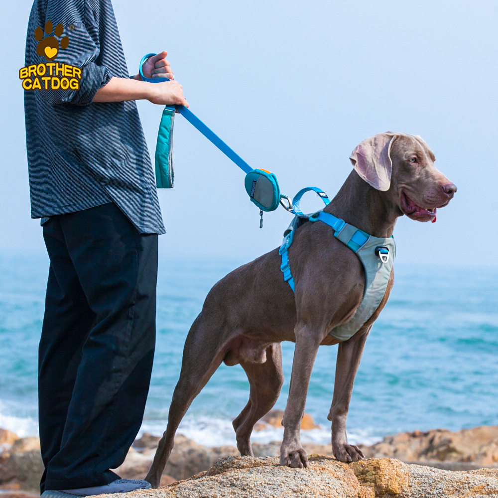 亚马逊大型狗狗胸背防爆冲胸背大型犬防爆冲胸背带牵引绳包包套装