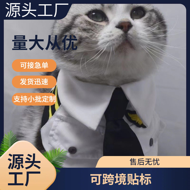 狗狗帅气空少制服可爱猫咪服装空军飞机师宠物搞笑变身装围脖