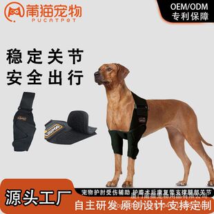 宠物护具狗狗护肘受伤护膝术后康复带支撑腿部关节缓解疼痛护理