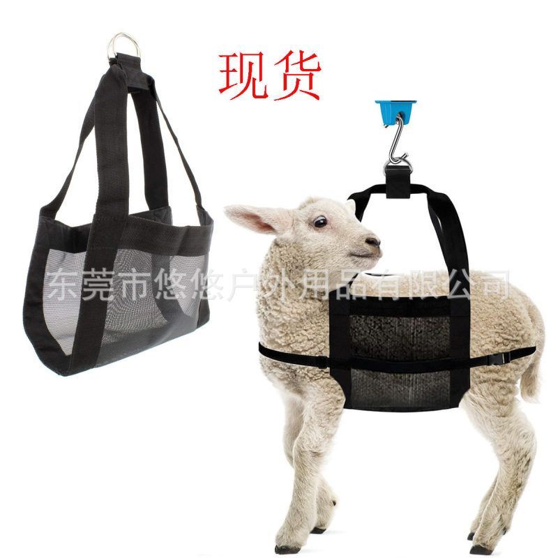 轻便称重宠物称重爬动物家畜宠