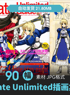 Fate Unlimited设定集人物CG原插画游戏动漫手绘线稿美术参考素材