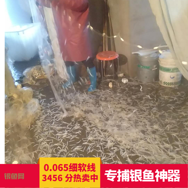 小公分1米 2米高细软线捕银鱼公鱼白条粘网单层鱼网渔网沉网