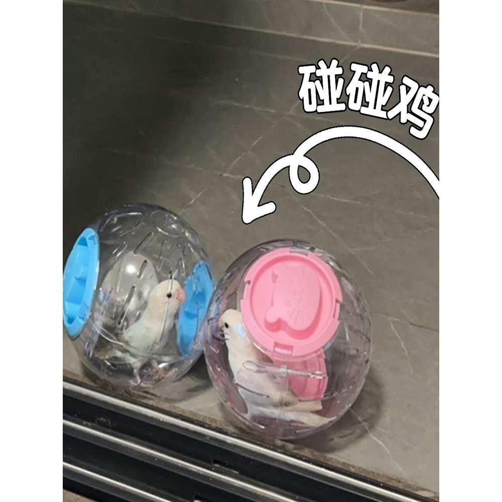 跑步球鹦鹉玩具解闷自嗨跑球小太阳玄凤滚球啃咬磨牙解压益智训练