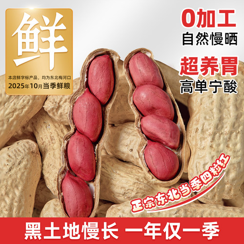 金奶奶新鲜晒干红皮花生带壳原味