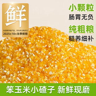 金奶奶新玉米糁东北玉米小碴子新米新玉米糁细玉米糁煮粥煮饭
