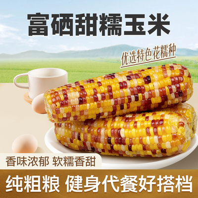 长白山富硒花糯玉米280g*8根 （2 箱划算）
