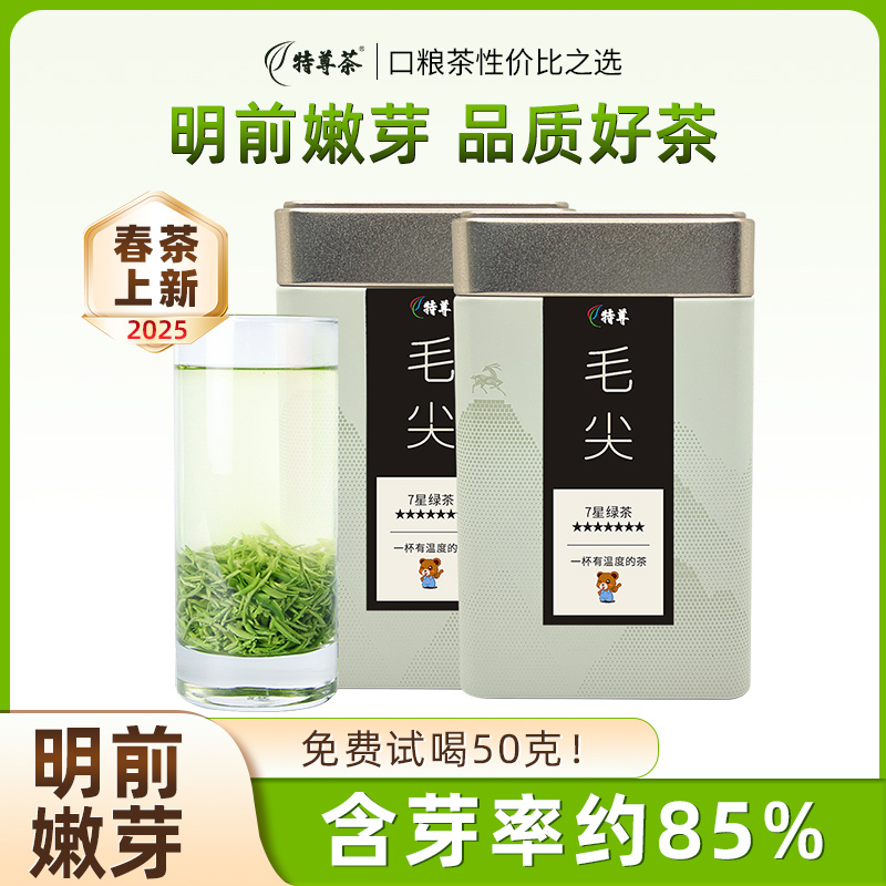 2025明前新茶毛尖春茶嫩芽250g