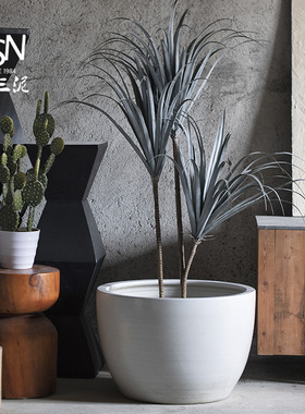 北欧风大口径陶瓷花盆白色陶瓷缸摆件种植大缸庭院装饰落地大盆